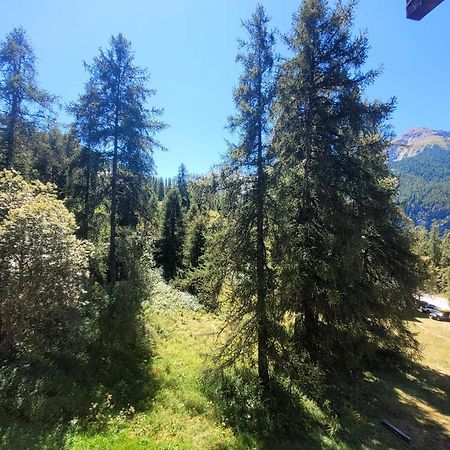 Le Lodge Des Marmottes - Calme, Cosy, Vue Nature Les Orres Eksteriør bilde