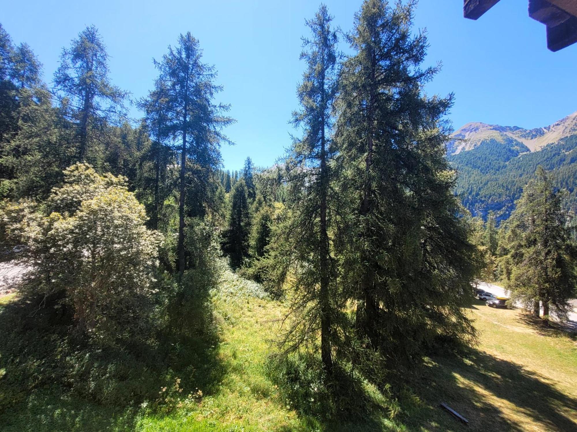 Le Lodge Des Marmottes - Calme, Cosy, Vue Nature Les Orres Eksteriør bilde